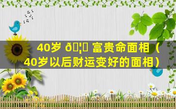 40岁 🦄 富贵命面相（40岁以后财运变好的面相）